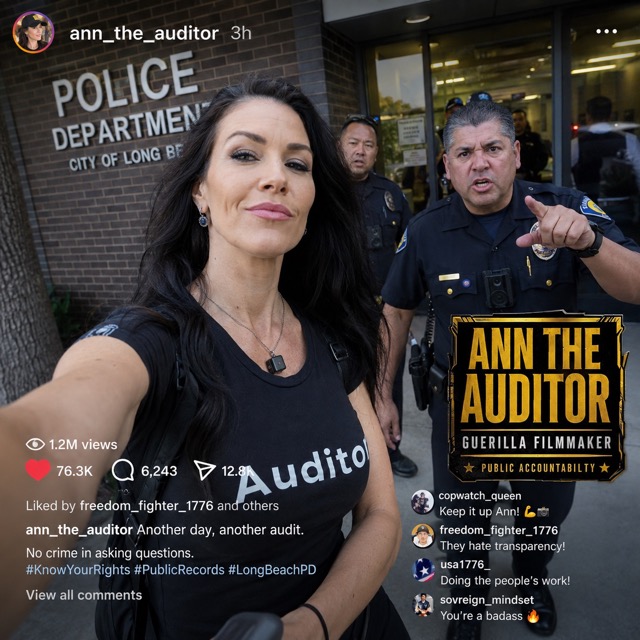 Ann the Auditor